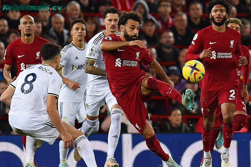 Đội hình dự kiến trước trận Leeds vs Liverpool