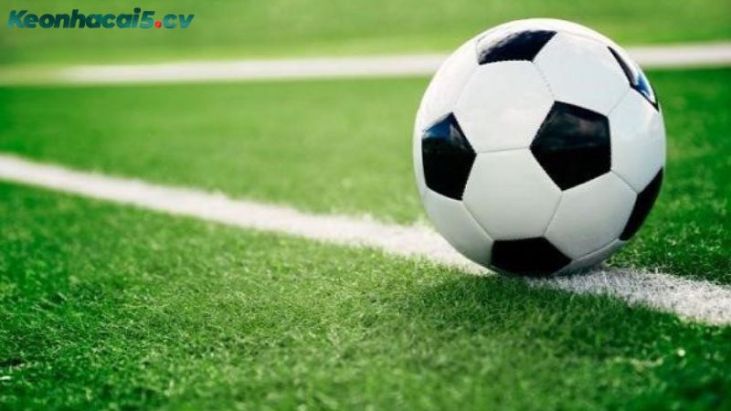 Chia sẻ kinh nghiệm soi kèo rung từ cược thủ lâu năm Chia sẻ kinh nghiệm soi kèo rung từ cược thủ lâu năm