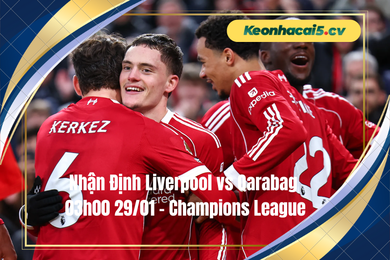 Đội hình dự kiến trước trận Liverpool vs Qarabag Đội hình dự kiến trước trận Liverpool vs Qarabag