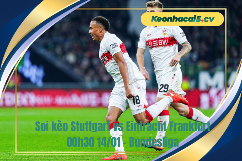 Đội hình dự kiến trước trận Stuttgart vs Eintracht Frankfurt Đội hình dự kiến trước trận Stuttgart vs Eintracht Frankfurt