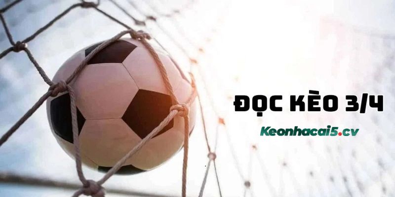 Đông đảo người chơi yêu thích bắt kèo 3/4 khi tham gia Đông đảo người chơi yêu thích bắt kèo 3/4 khi tham gia