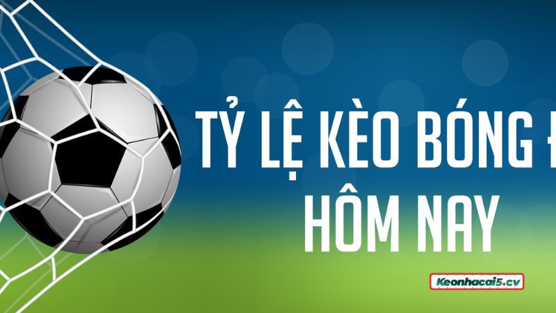 Quan sát biến động tỷ lệ cược Quan sát biến động tỷ lệ cược