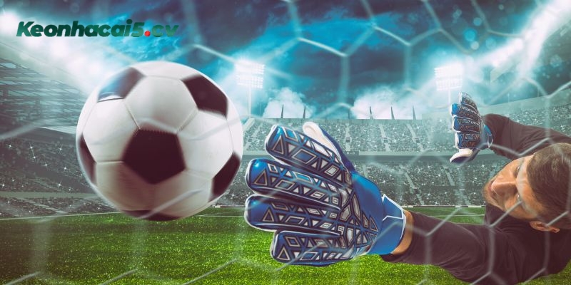 Bỏ túi các lưu ý quan trọng để xuống tiền cược rung hiệu quả nhất