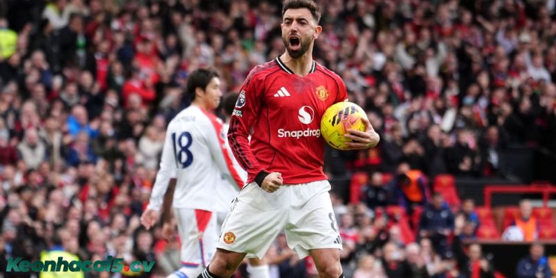 Chi tiết về cơ chế hoạt động của kèo rung Chi tiết về cơ chế hoạt động của kèo rung