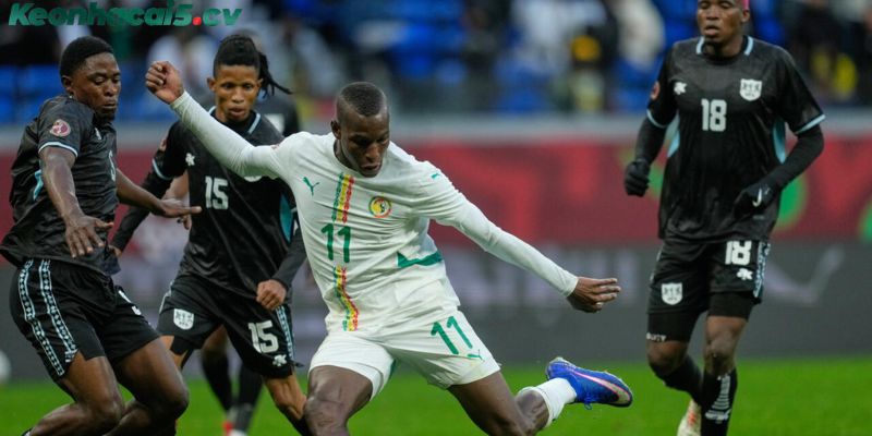 Vào kèo rung hiệu quả và những điều tân binh cần biết Vào kèo rung hiệu quả và những điều tân binh cần biết