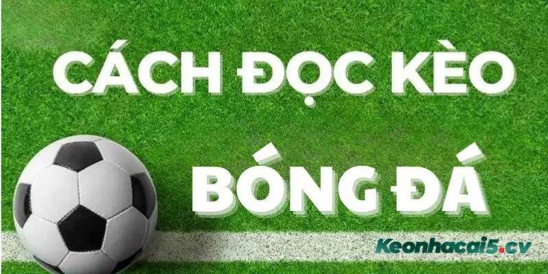 Những loại kèo bóng đá nào phổ biến